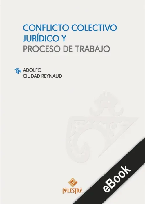 Conflicto colectivo juridico y proceso de trabajo