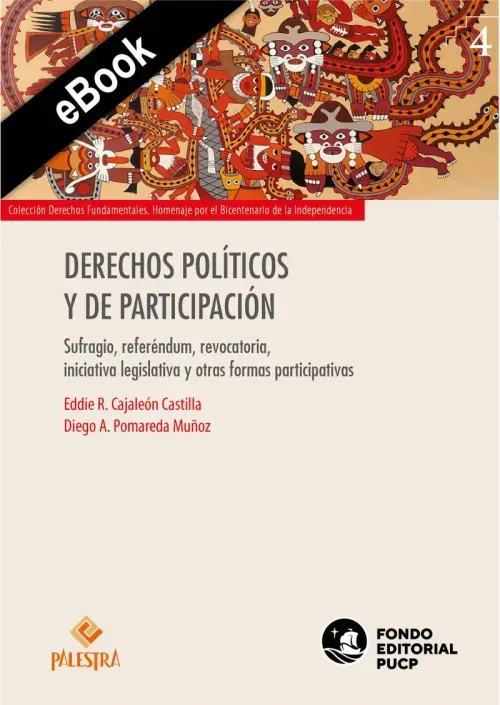 Derechos politicos y de participacion
