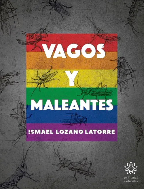 Vagos y maleantes