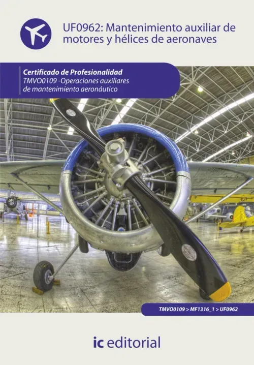Mantenimiento auxiliar de motores y helices de aeronaves TMVO0109