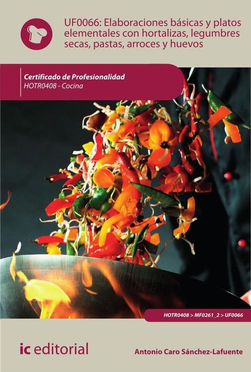 Elaboraciones basicas y platos elementales con hortalizas legumbres secas pastas arroces y huevos  H