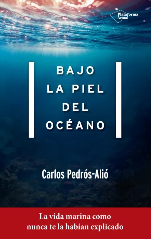 Bajo la piel del oceano