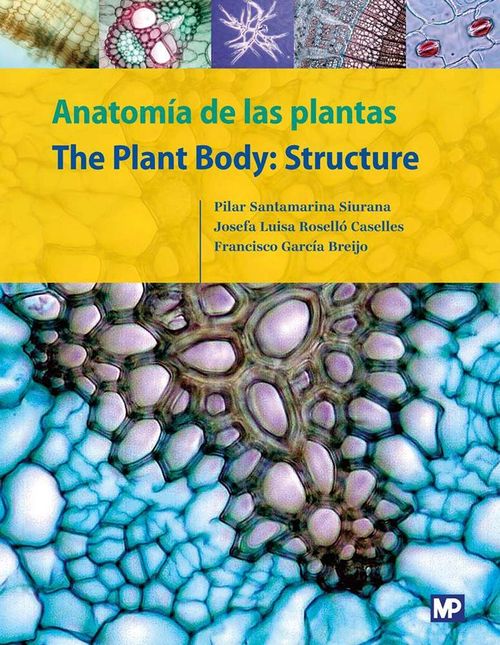 Anatomia de las plantasThe Plant Body Structure