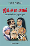 Que es un santo
