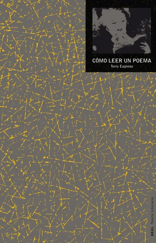 Como leer un poema