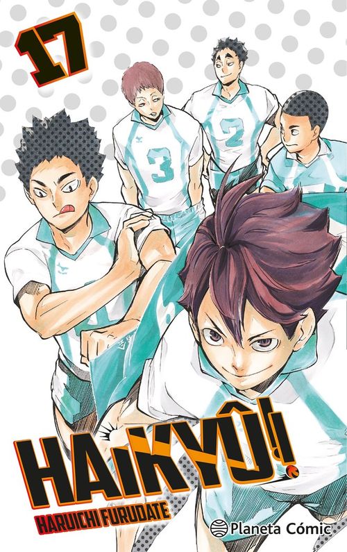 HAIKYU Nº 17