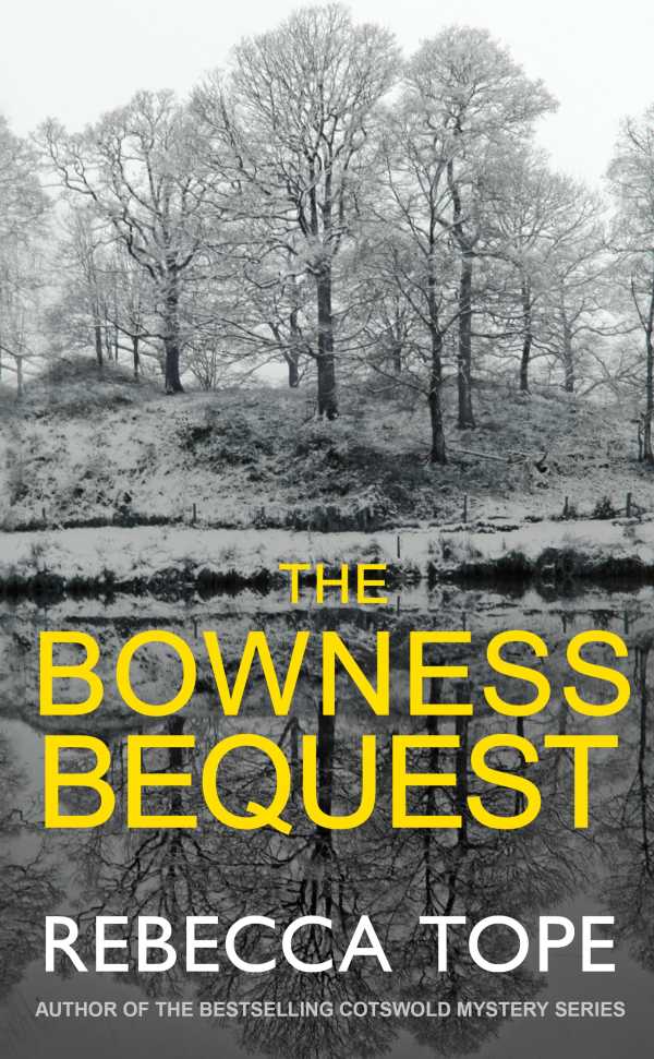 bw-the-bowness-bequest-allison-busby-9780749021122
