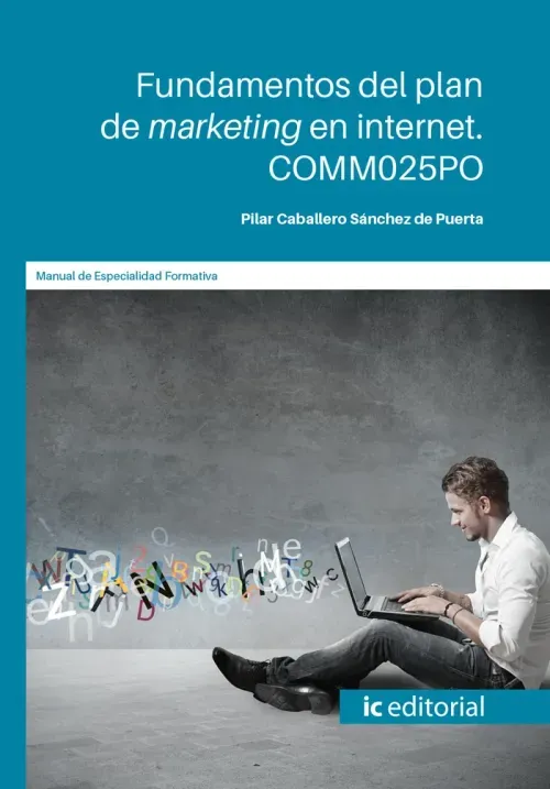 Fundamentos del plan de marketing en internet COMM025PO