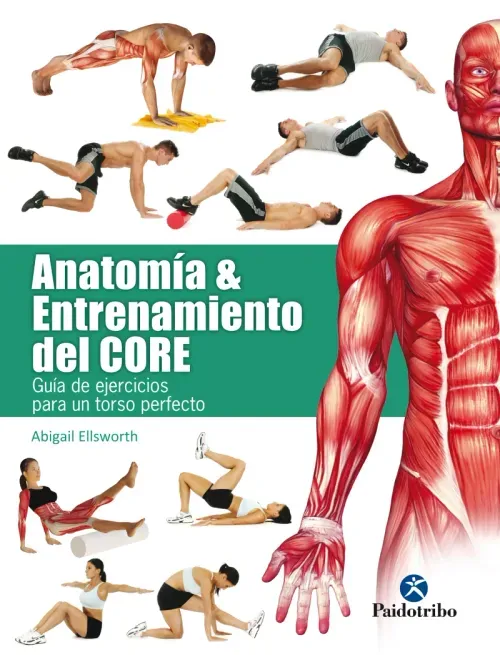 Anatomia y entrenamiento del core