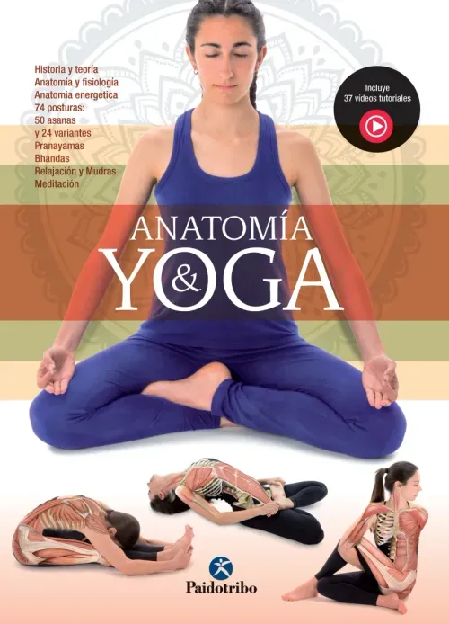 Anatomia  Yoga Color