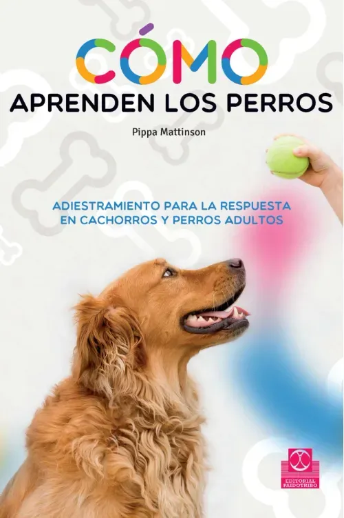 Como aprenden los perros