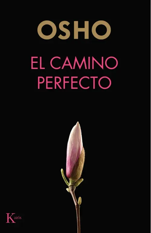 El camino perfecto