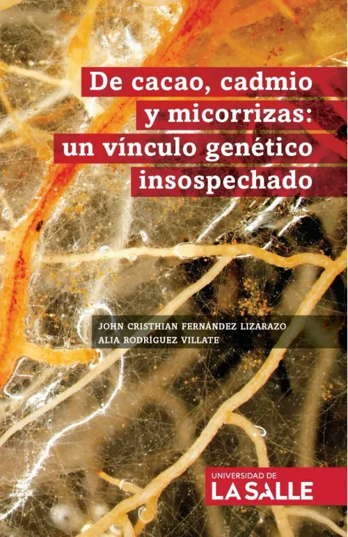De cacao cadmio y micorrizas