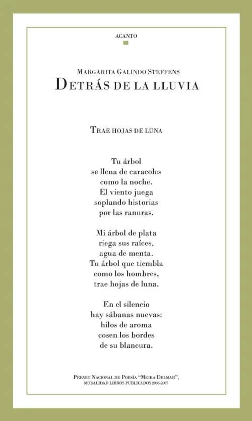 Detras de la lluvia