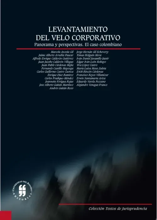 Levantamiento del velo corporativo Panorama y perspectiva