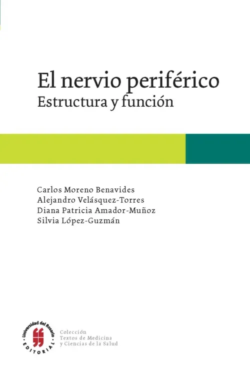 El nervio periferico