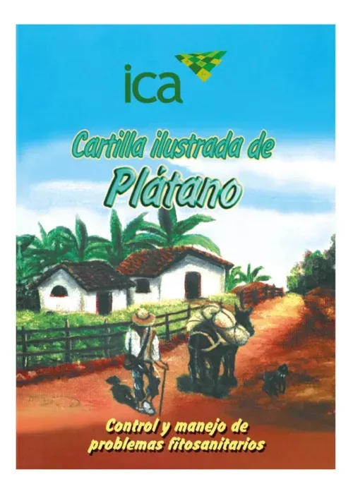 Cartilla ilustrada de Platano