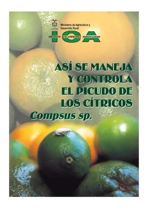 Asi se maneja y controla el picudo de los citricos Compsus sp
