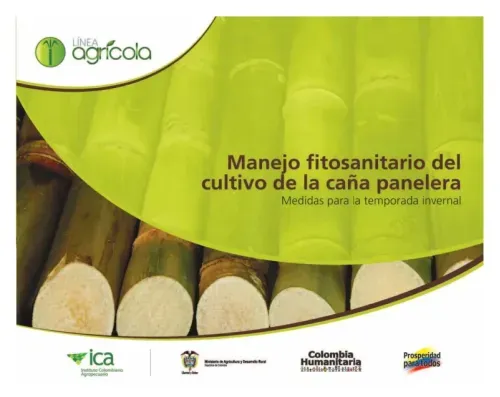 Manejo fitosanitario del cultivo de la cana panelera medidas para la temporada invernal