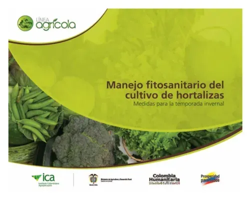 Manejo fitosanitario del cultivo de hortalizas medidas para la temporada invernal