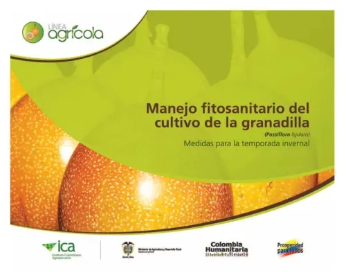 Manejo fitosanitario del cultivo de la granadilla Passiflora ligularis medidas para la temporada inv