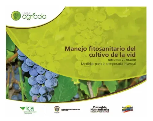 Manejo fitosanitario del cultivo de la vid vitis vinifera y Vlabrusca medidas para la temporada inve