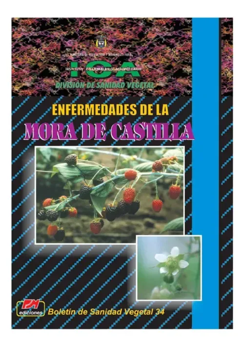 Enfermedades de la Mora de Castilla