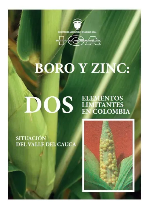 Boro y Zinc Dos elementos limitantes en Colombia