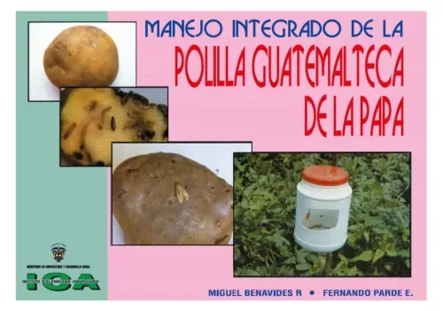 Manejo integrado de la polilla guatemalteca de la papa Tecia solanivora Povolny