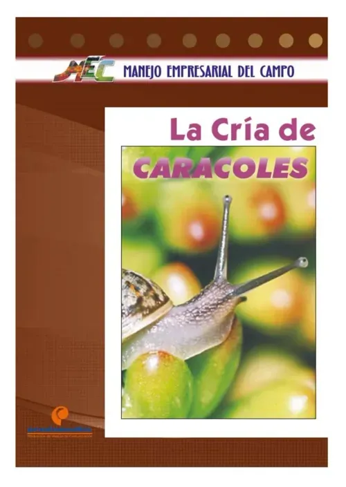 La cria de caracoles