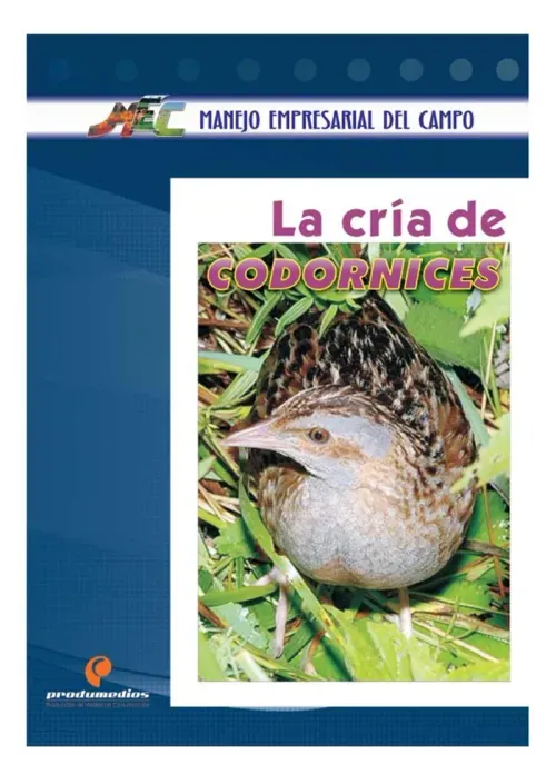 La cria de codornices
