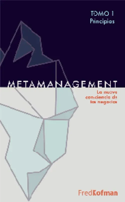 Metamanagement - Tomo 1 Principios