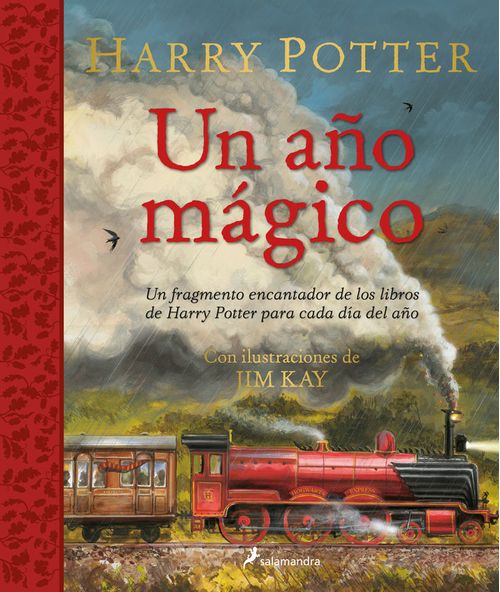 HARRY POTTER UN ANO MAGICO