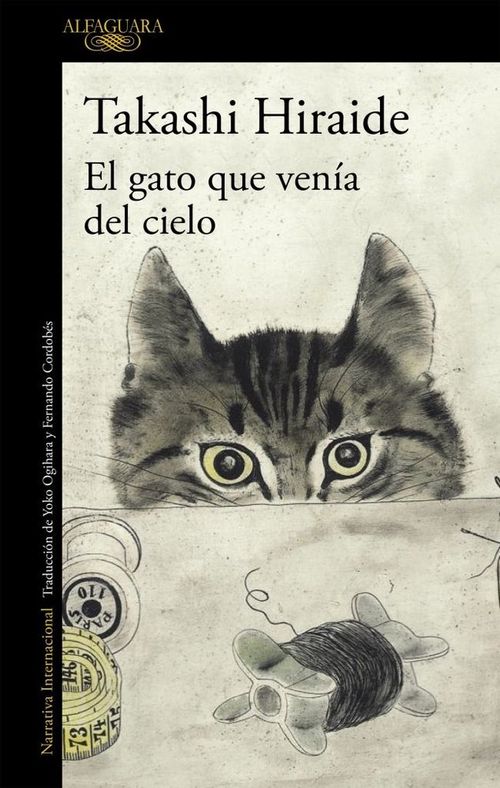El gato que venia del cielo