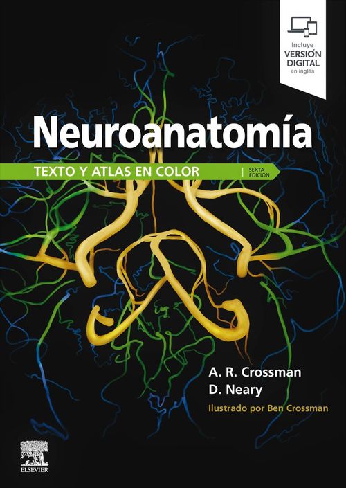Neuroanatomia Texto y atlas en color 6ª ed