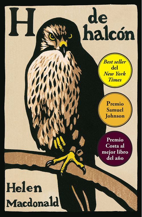 H de halcon