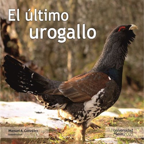 EL ULTIMO UROGALLO