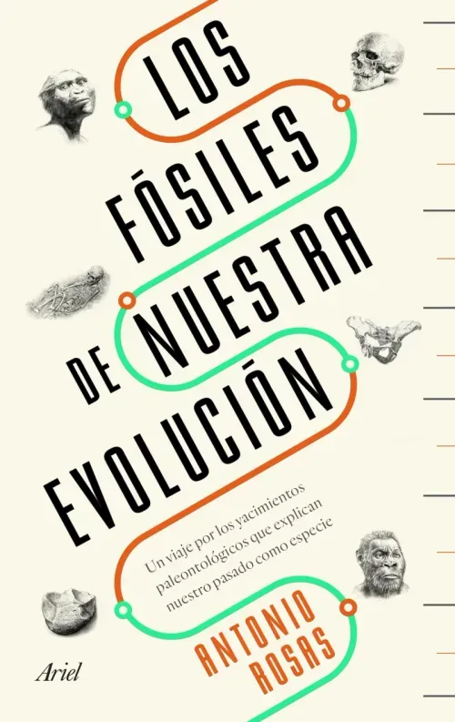 Los fosiles de nuestra evolucion