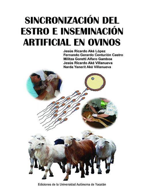 Sincronizacion del estro e inseminacion artificial en ovinos