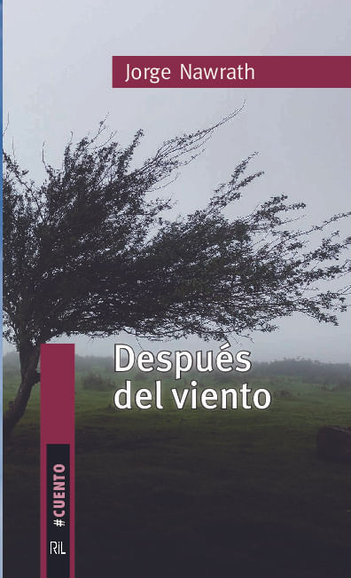 Despues del viento