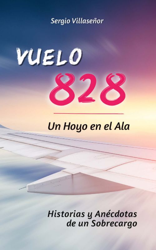 Vuelo 828 - Un Hoyo en el Ala