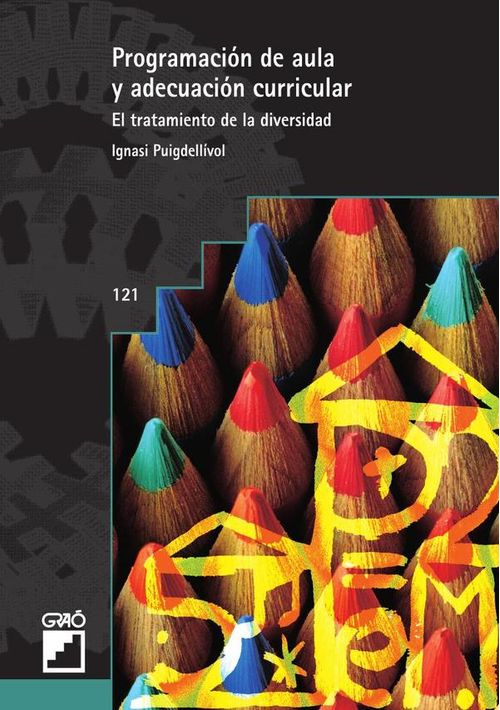 Programacion de aula y adecuacion curricular