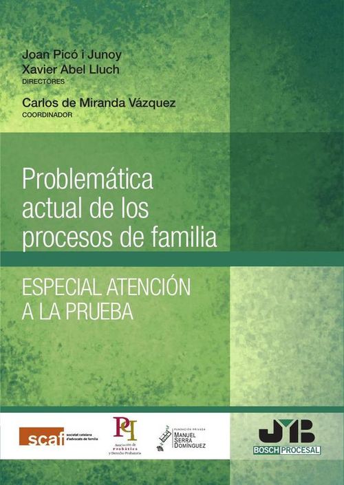Problematica actual de los procesos de familia
