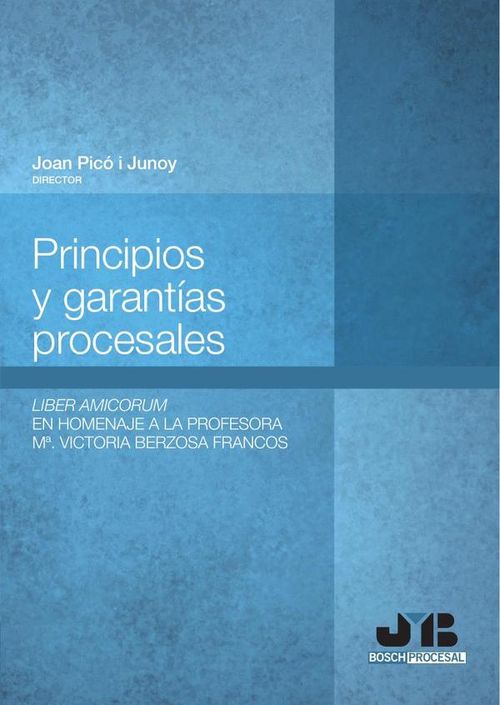 Principios y garantias procesales