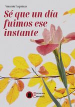 Se que un dia fuimos ese instante