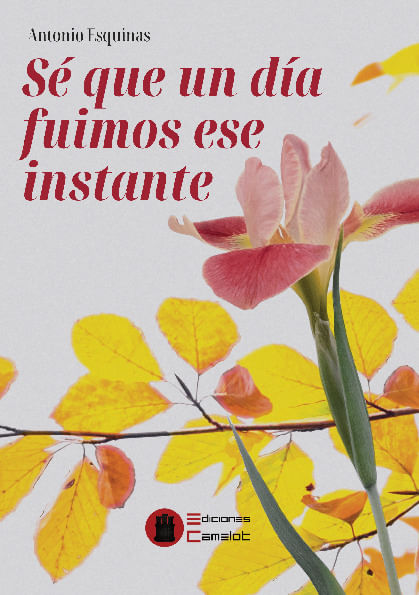 Se que un dia fuimos ese instante