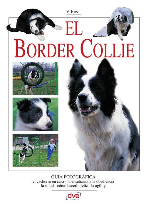El border collie