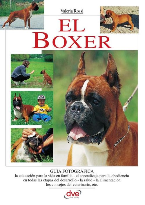El Boxer