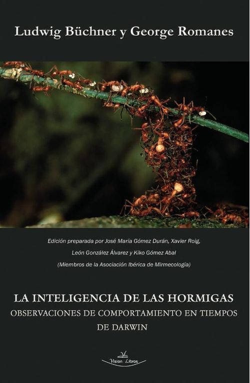 La inteligencia de las hormigas