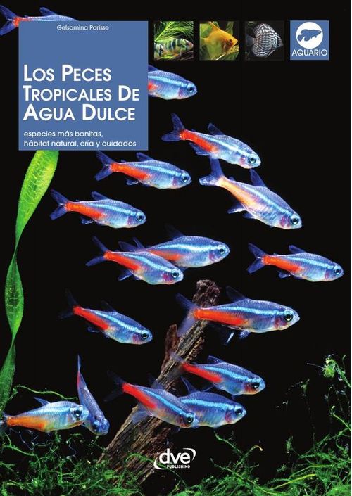 Los peces tropicales de agua dulce